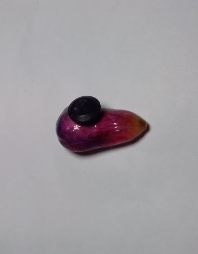 Fruit Croc Charms