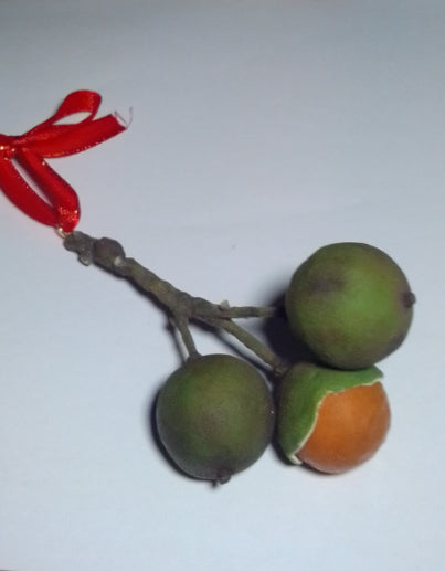 Guinep, Quenepa Christmas Ornament
