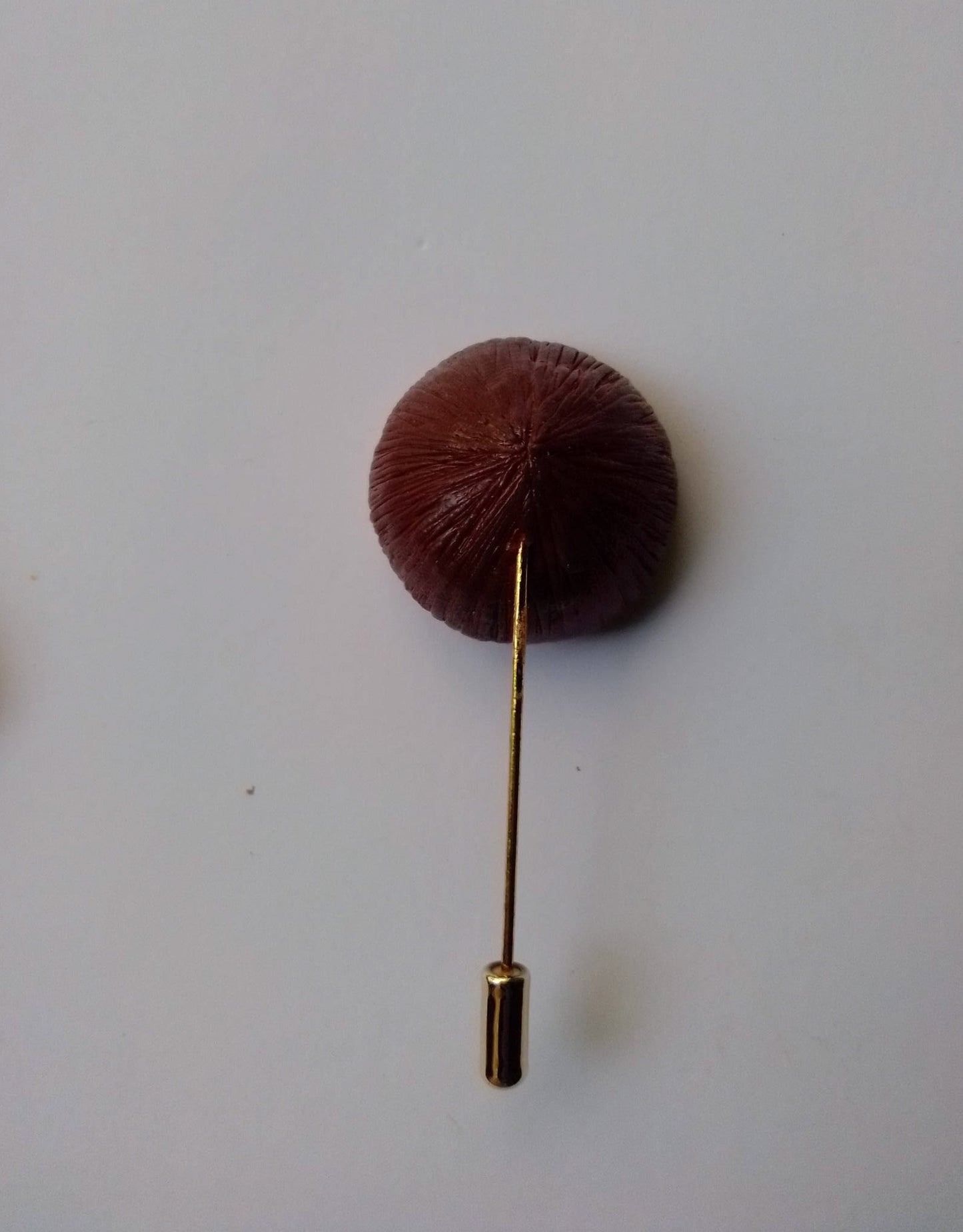 Jamaican Fruit Brooch