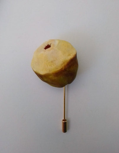 Jamaican Fruit Brooch