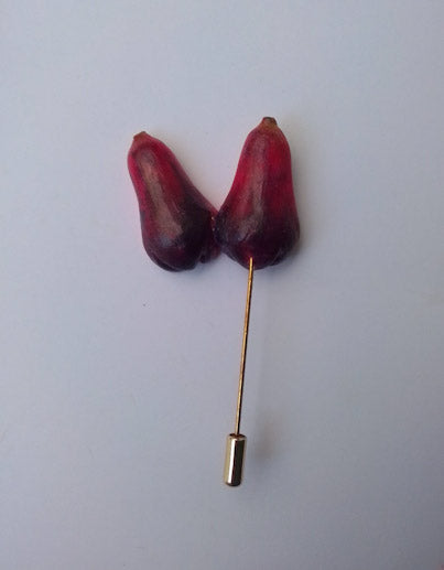 Jamaican Fruit Brooch