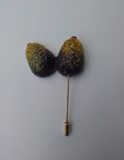 Jamaican Fruit Brooch